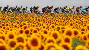 Tour-Etappen und Trainer-Dämmerung