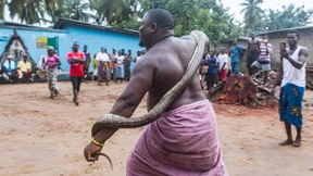 Mit Vodoo gegen den Mangroventod