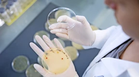 Wie sollen wir im Genom heilen?