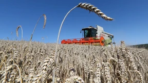 „Extremwetter macht Ernten zum Lotteriespiel“