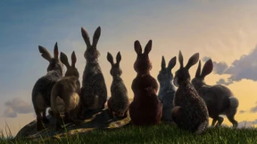 Wo Mümmelmänner aufpassen müssen, nicht ins Gras zu beißen