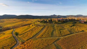 Warum es die Franzosen zurück in die Provinz zieht