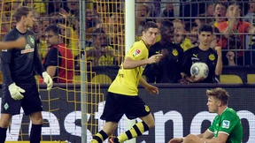 Nur eine Schwarz-Gelbe sticht aus der Reihe