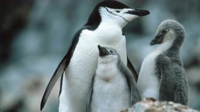 Hier herrscht jetzt Sommer