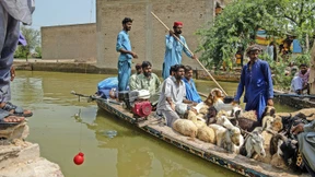 Nach der Sintflut kommen Hunger und Krankheiten