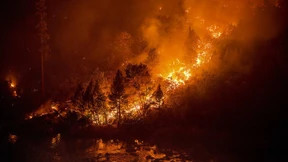 Waldbrände in Kalifornien nehmen kein Ende