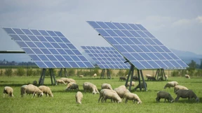 EU: Befreiung von Ökostrom-Umlage großteils rechtens