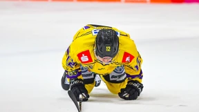 Die Pinguine müssen ums Überleben kämpfen