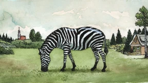 Wege aus der Asylkrise