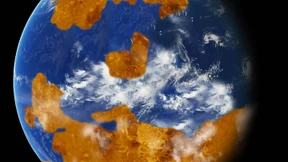 Die Venus im Erd-Look