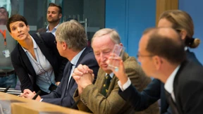 Rechte Risikofraktion mit freien Radikalen