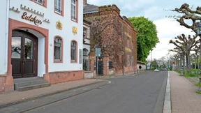 Cuvée aus Hopfen und Reben