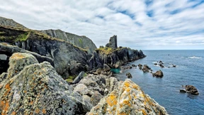 Tritt leise, Du trittst auf meine Träume