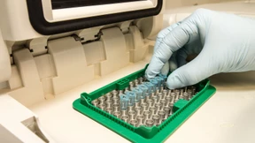 Ein Unternehmen auf dem Sprung nach Übersee