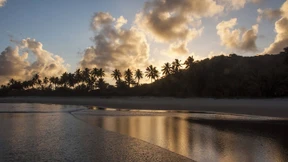 Das Paradies der anderen