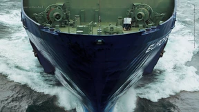 Promi zu sein reicht nicht