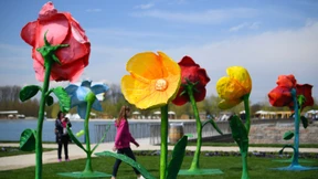 Landesgartenschau gegen Flüchtlingshilfe?