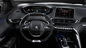 Mäusekino im Löwenkäfig