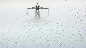 Strompreise für Verbraucher auf neuem Rekord