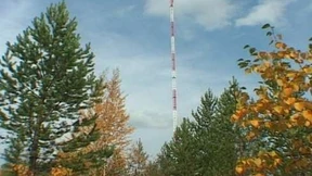 Biogase, Eiszeitfeeling, Hummerglück