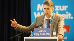 Der Parteiphilosoph der AfD