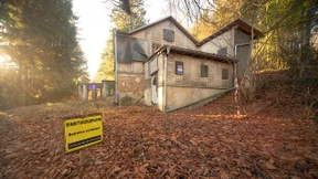 Wissenschaftler im Taunuswald