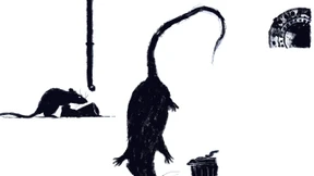 Nachts schlafen die Ratten nicht