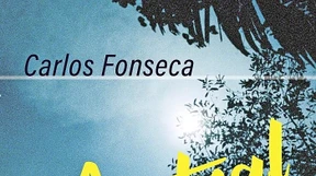 Im Irrgarten der Südsehnsucht