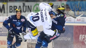 Eisbären in der Achterbahn