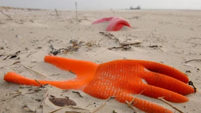 Brauchen wir eine Welt ohne Plastik?