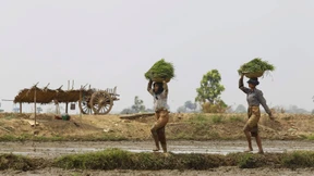 So hart trifft die Klimakatastrophe die Asien-Pazifik-Region
