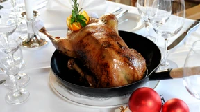 Gänsebraten gänslich unbedenklich
