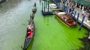 Ursache für grün verfärbten Canal Grande in Venedig ist geklärt