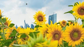 Leserbriefe vom 13. September 2021