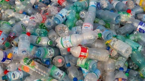 So werden Sie mit Cent-Beträgen reich