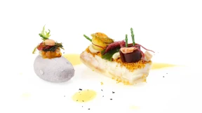 Unsere Erststimme bekommt die Forelle