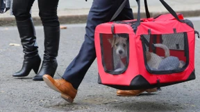 Boris Johnson will nicht alleine sein