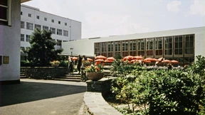 Die Geschichte des Windes