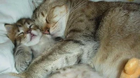 Feministinnen streiten. Endlich!