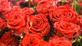 In Dresden schenkt es sich am günstigsten