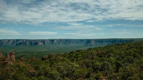 Brasiliens Ureinwohner kämpfen für ihren Regenwald