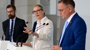 AfD attackiert Bundesregierung und Verbotsantrag