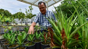 Deutscher Forscher simuliert in Panama Erderwärmung