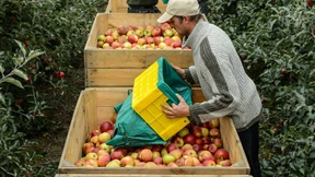 Gut rechnen ist nicht alles