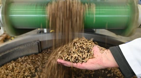 Insekten essen? Machen wir Bioplastik draus