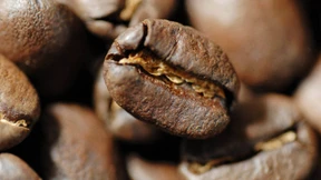 Kaffee wird spottbillig