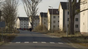 Als erstes fallen geschützte Bäume