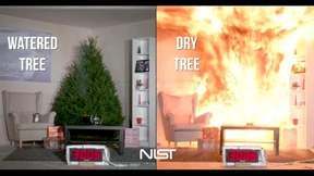 Advent, Advent, der Christbaum brennt