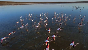 Gegen unfair spielende Länder