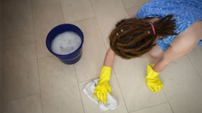 Die Putzfrau aus dem Internet